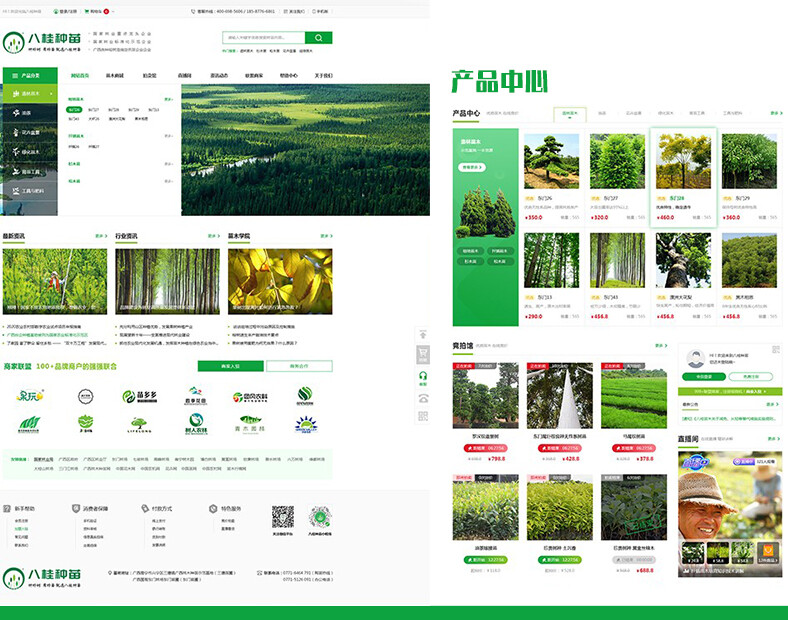 廣西商城定制開發 八桂種苗商城展示